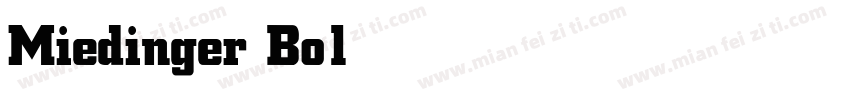 Miedinger Bold字体转换